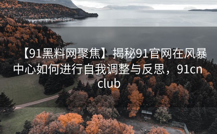 【91黑料网聚焦】揭秘91官网在风暴中心如何进行自我调整与反思,91cn club 【91黑料网聚焦】揭秘91官网在风暴中心如何进行自我调整与反思,91cn club