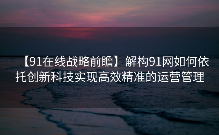 【91在线战略前瞻】解构91网如何依托创新科技实现高效精准的运营管理 【91在线战略前瞻】解构91网如何依托创新科技实现高效精准的运营管理