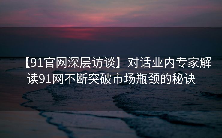 【91官网深层访谈】对话业内专家解读91网不断突破市场瓶颈的秘诀